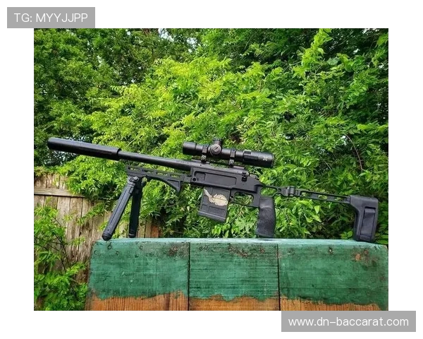 全球观赏性最强的狙击手枪对决游戏推荐与评测